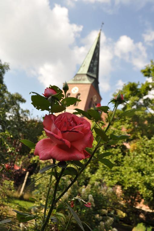 Hotel Cramer Bed & Breakfast Werlte Eksteriør bilde